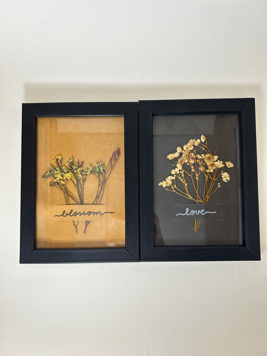 Preserved Flower Frames