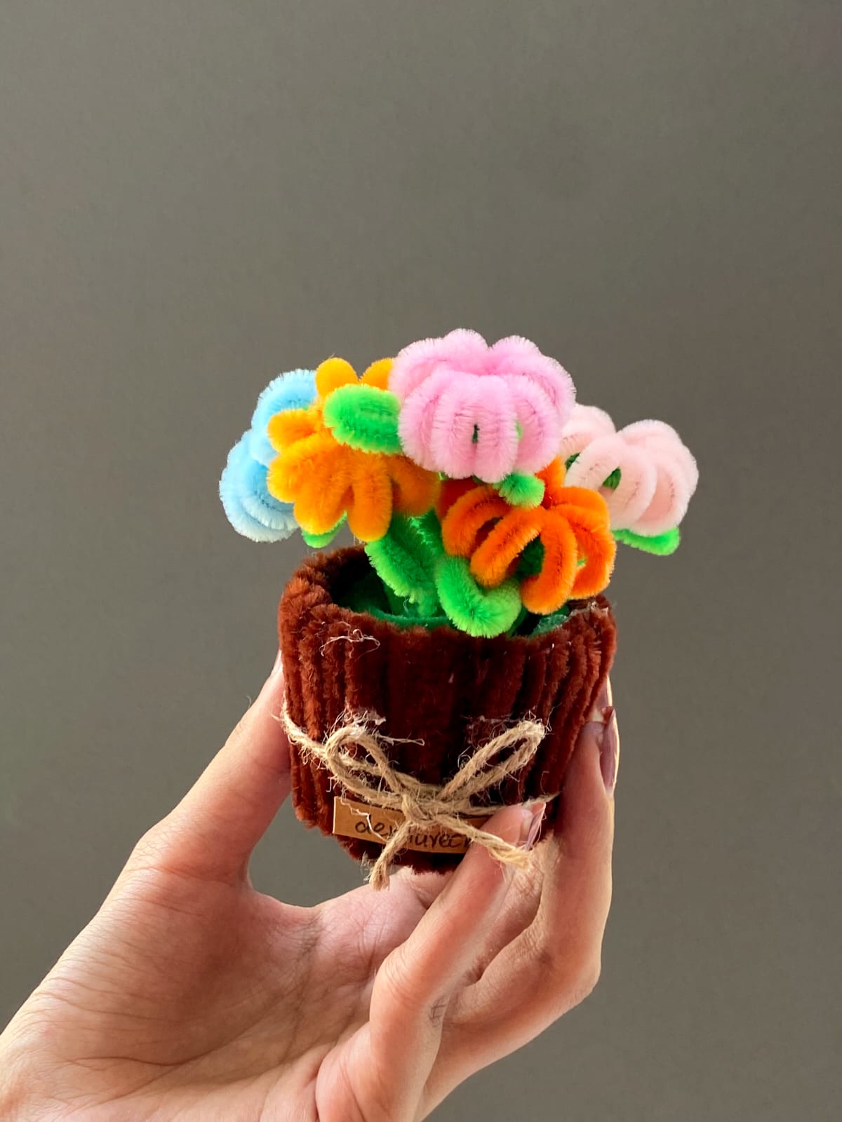 Colourful Flower Pot
