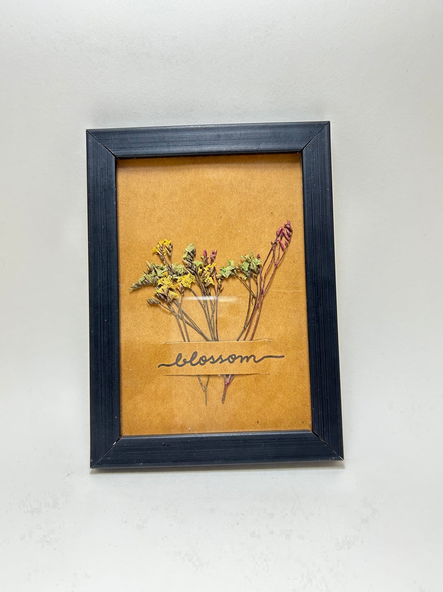 Preserved Flower Frames