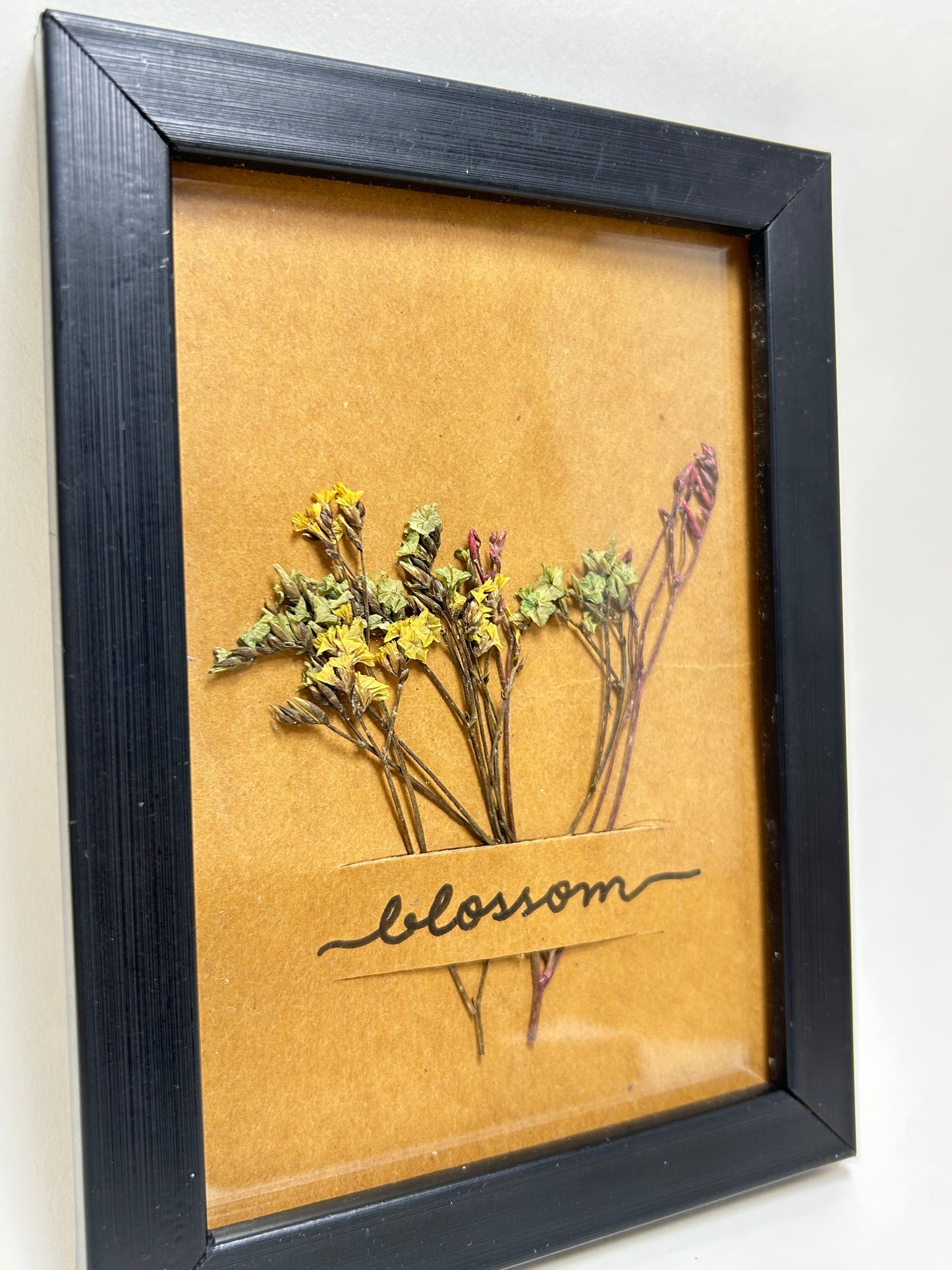 Preserved Flower Frames