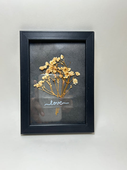 Preserved Flower Frames