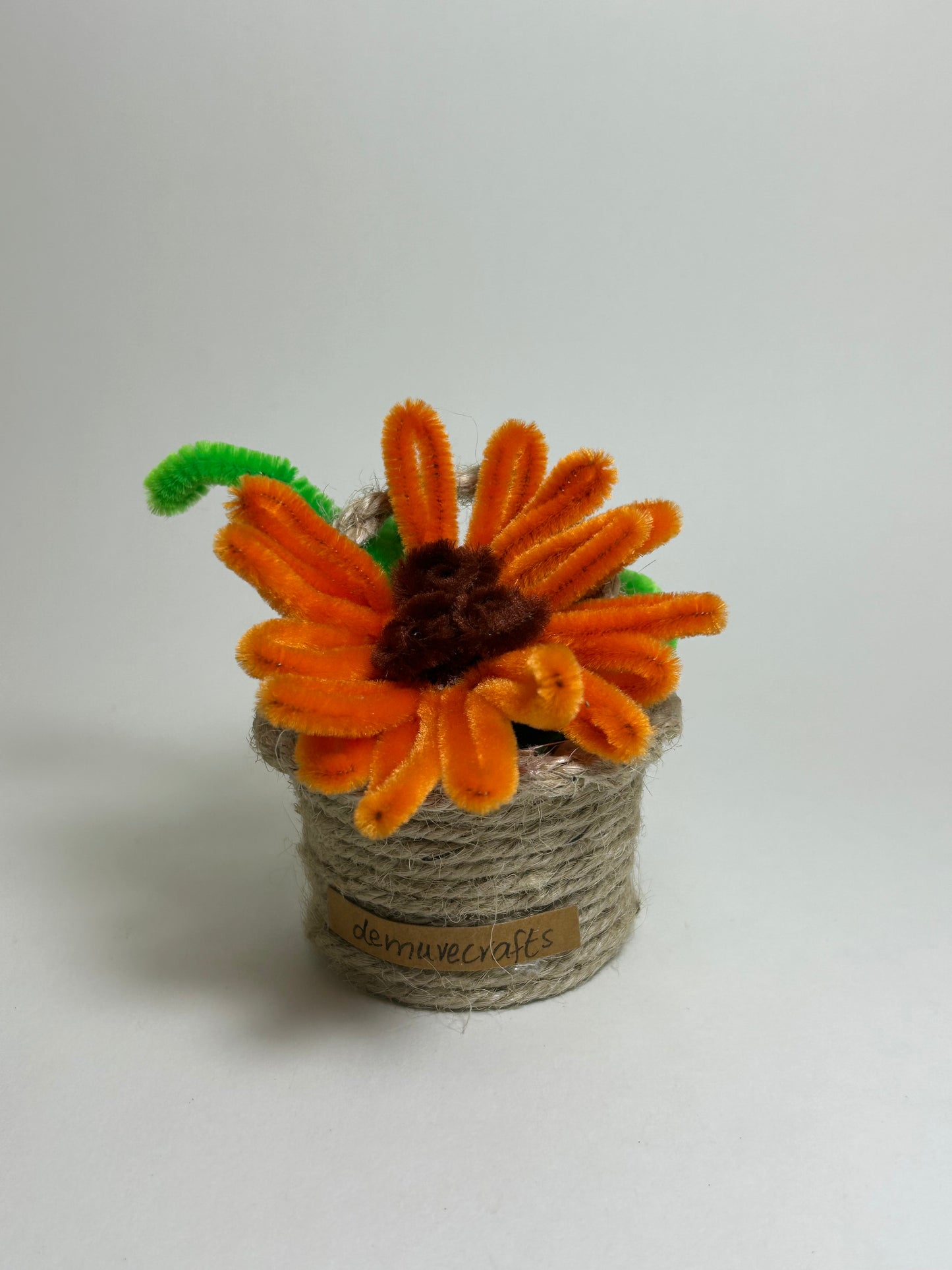 Orange Flower Pot